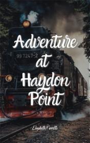 Adventure at Haydon Point — typographic cover