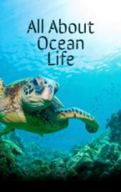 All About Ocean Life — typographic cover