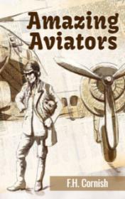 Amazing Aviators — typographic cover