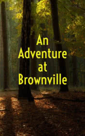 An Adventure at Brownville — typographic cover