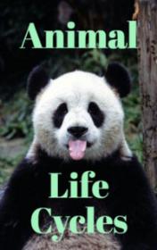 Animal Life Cycles — typographic cover