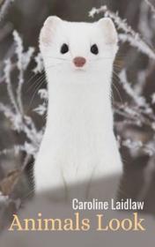 Animals Look! — typographic cover