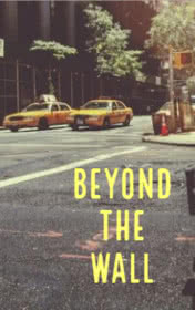 Beyond the Wall — typographic cover