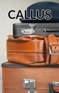 Callus — typographic cover