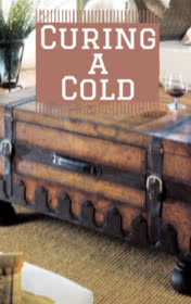 Curing a Cold — typographic cover