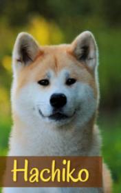Hachiko — typographic cover