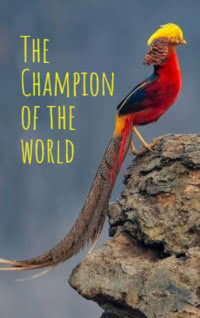 The Champion of the World — typographic cover