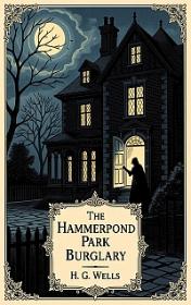The Hammerpond Park Burglary — typographic cover