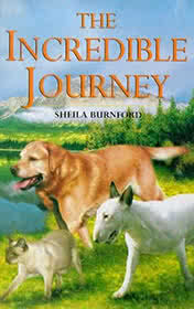 The Incredible Journey — typographic cover