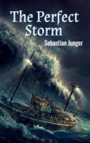 The Perfect Storm — typographic cover