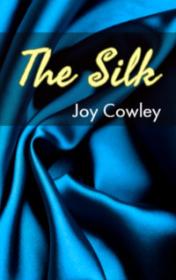 The Silk — typographic cover