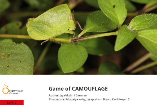 Game of CAMOUFLAGE — illustrated by Arkapriya Koley, Jayaprakash Bojan, Karthikeyan S.