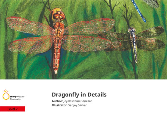 Dragonfly in Details — illustrated by Sanjay Sarkar