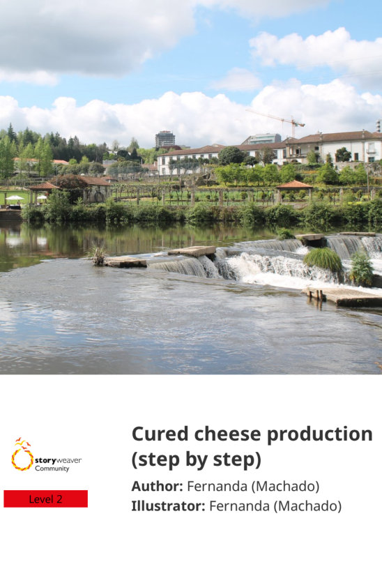 Cured cheese production (step by step) — illustrated by Fernanda (Machado)