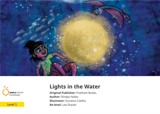 Lights in the Water — illustrated by Sunaina Coelho 