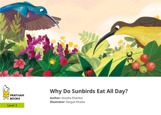 Why Do Sunbirds Eat All Day? — illustrated by Harjyot Khalsa