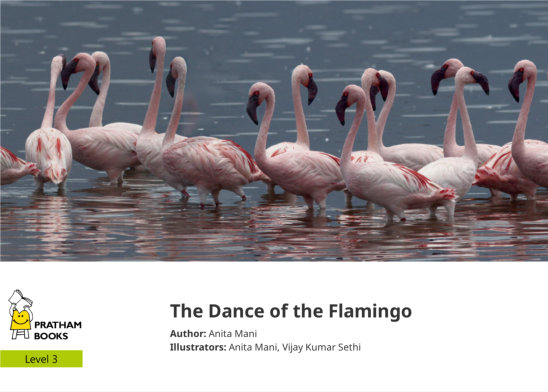 The Dance of  the Flamingo — illustrated by Anita Mani, Vijay Kumar Sethi