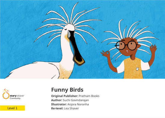 Funny Birds — illustrated by Anjora Noronha
