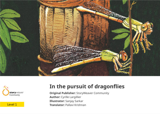 In the pursuit of dragonflies — illustrated by Sanjay Sarkar