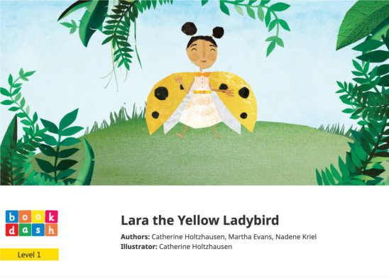 Lara the Yellow Ladybird — illustrated by Catherine Holtzhausen