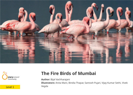 The Fire Birds of Mumbai — illustrated by Anita Mani, Bindia Thapar, Santosh Pujari, Vijay Kumar Sethi, Vivek Vegda