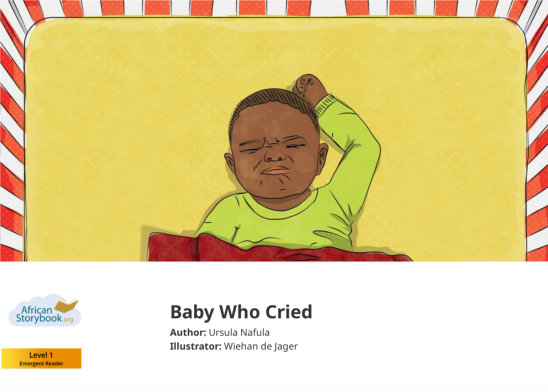 Baby Who Cried — illustrated by Wiehan de Jager