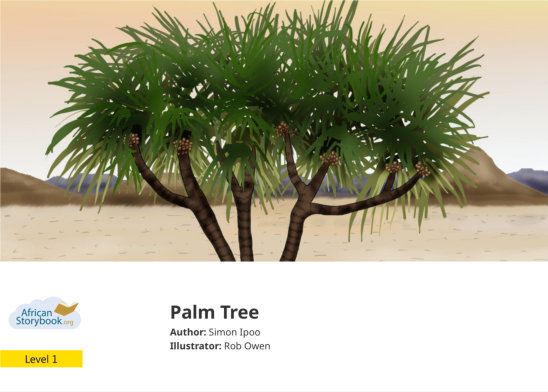 Palm Tree — illustrated by Rob Owen