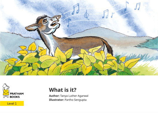 What is it? — illustrated by Partho Sengupta