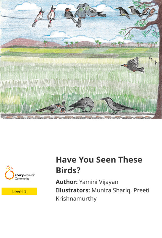 Have You Seen These Birds? — illustrated by Muniza Shariq, Preeti Krishnamurthy