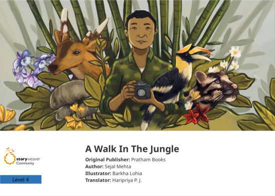 A Walk In  The Jungle — illustrated by Barkha Lohia