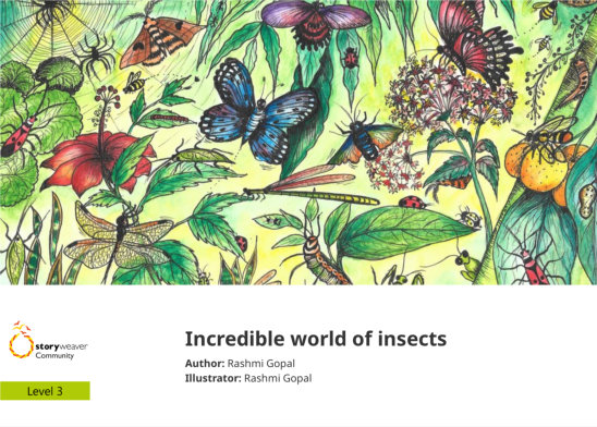 Incredible world of insects — illustrated by Rashmi Gopal