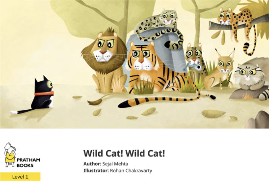 Wild Cat! Wild Cat! — illustrated by Rohan Chakravarty
