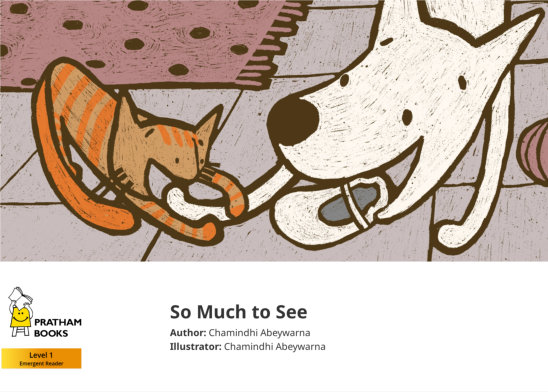 So Much to See — illustrated by Chamindhi Abeywarna