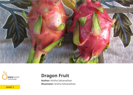 Dragon Fruit — illustrated by Anitha Selvanathan