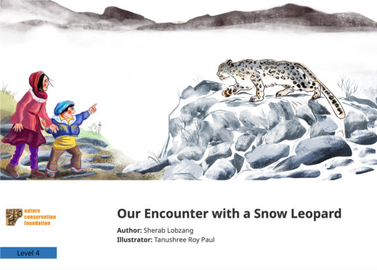 Our Encounter with a Snow Leopard — illustrated by Tanushree Roy Paul