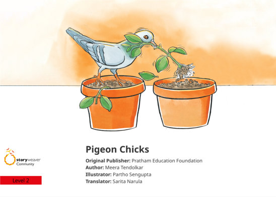 Pigeon Chicks — illustrated by Partho Sengupta