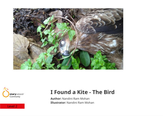 I Found a Kite – The Bird — illustrated by Nandini Ram Mohan