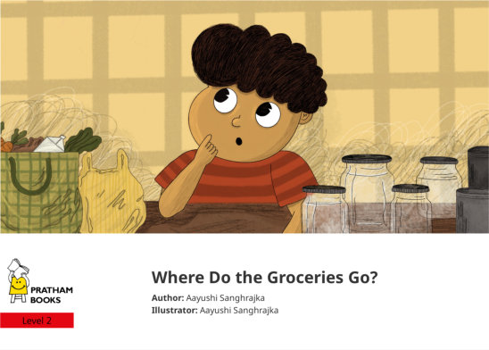 Where Do the Groceries Go? — illustrated by Aayushi Sanghrajka