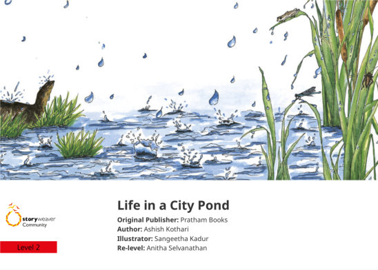 Life in a City Pond — illustrated by Sangeetha Kadur