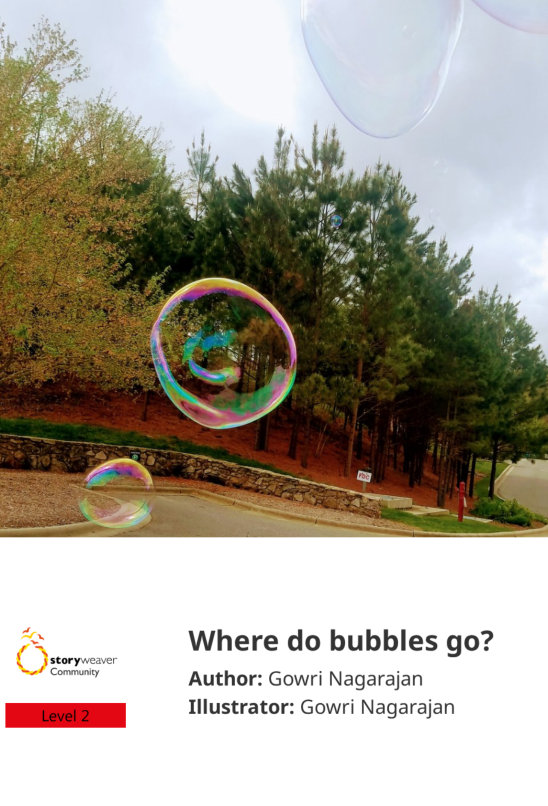 Where do bubbles go? — illustrated by Gowri Nagarajan