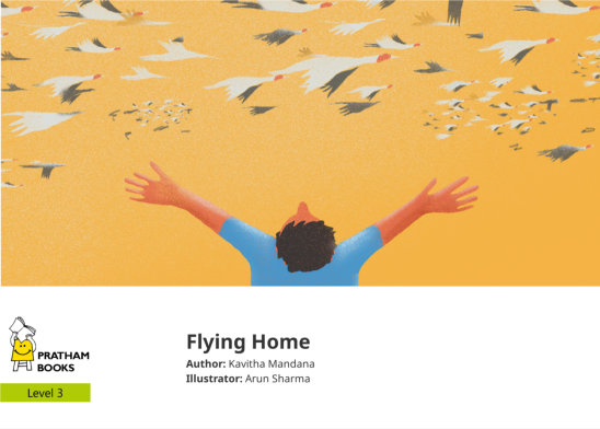 Flying Home — illustrated by Arun Sharma