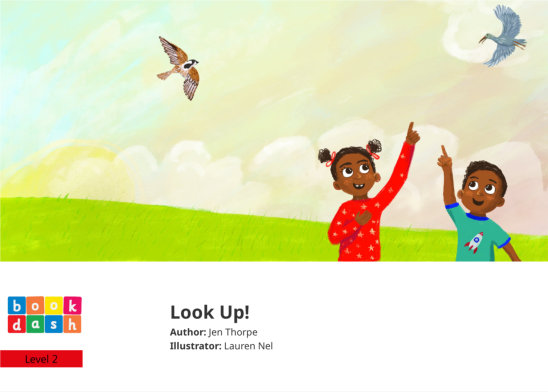 Look Up! — illustrated by Lauren Nel