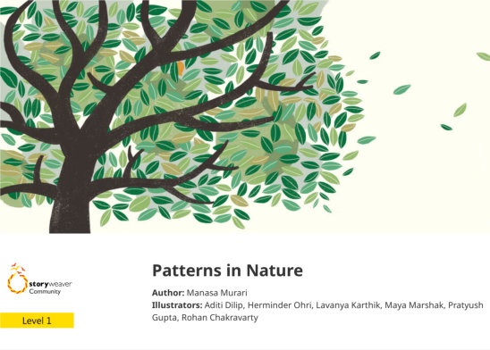 Patterns in Nature — illustrated by Aditi Dilip, Herminder Ohri, Lavanya Karthik, Maya Marshak, Pratyush Gupta, Rohan Chakravarty