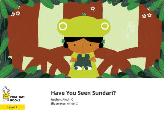Have You Seen Sundari? — illustrated by Aindri C