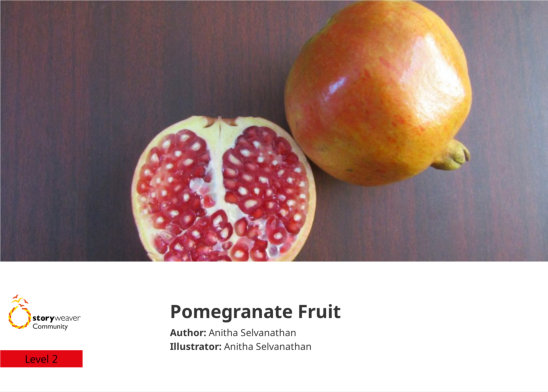 Pomegranate Fruit — illustrated by Anitha Selvanathan