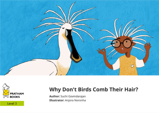 Why Don’t Birds Comb Their Hair? — illustrated by Anjora Noronha