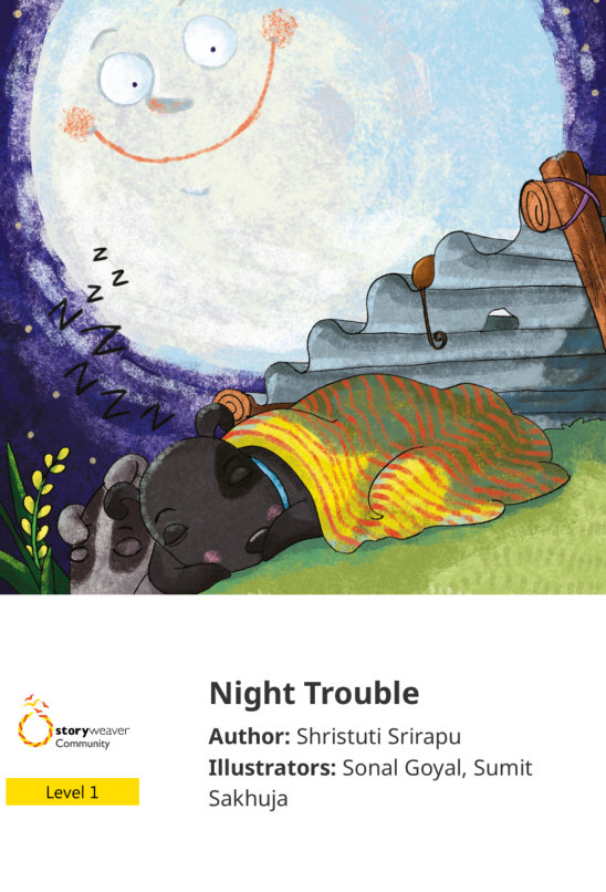Night Trouble — illustrated by Sonal Goyal, Sumit Sakhuja