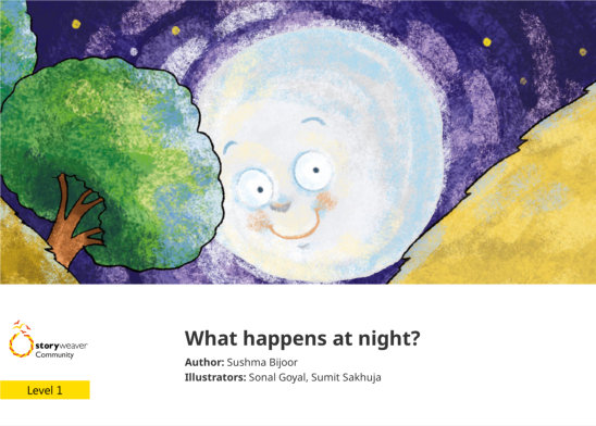 What happens at night? — illustrated by Sonal Goyal, Sumit Sakhuja