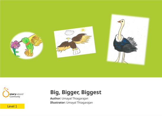 Big, Bigger, Biggest — illustrated by Umayal Thiagarajan