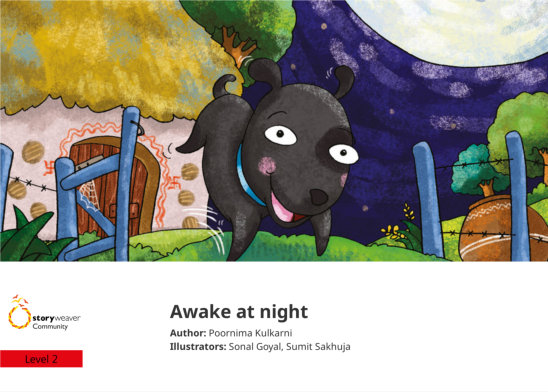 Awake at night — illustrated by Sonal Goyal, Sumit Sakhuja